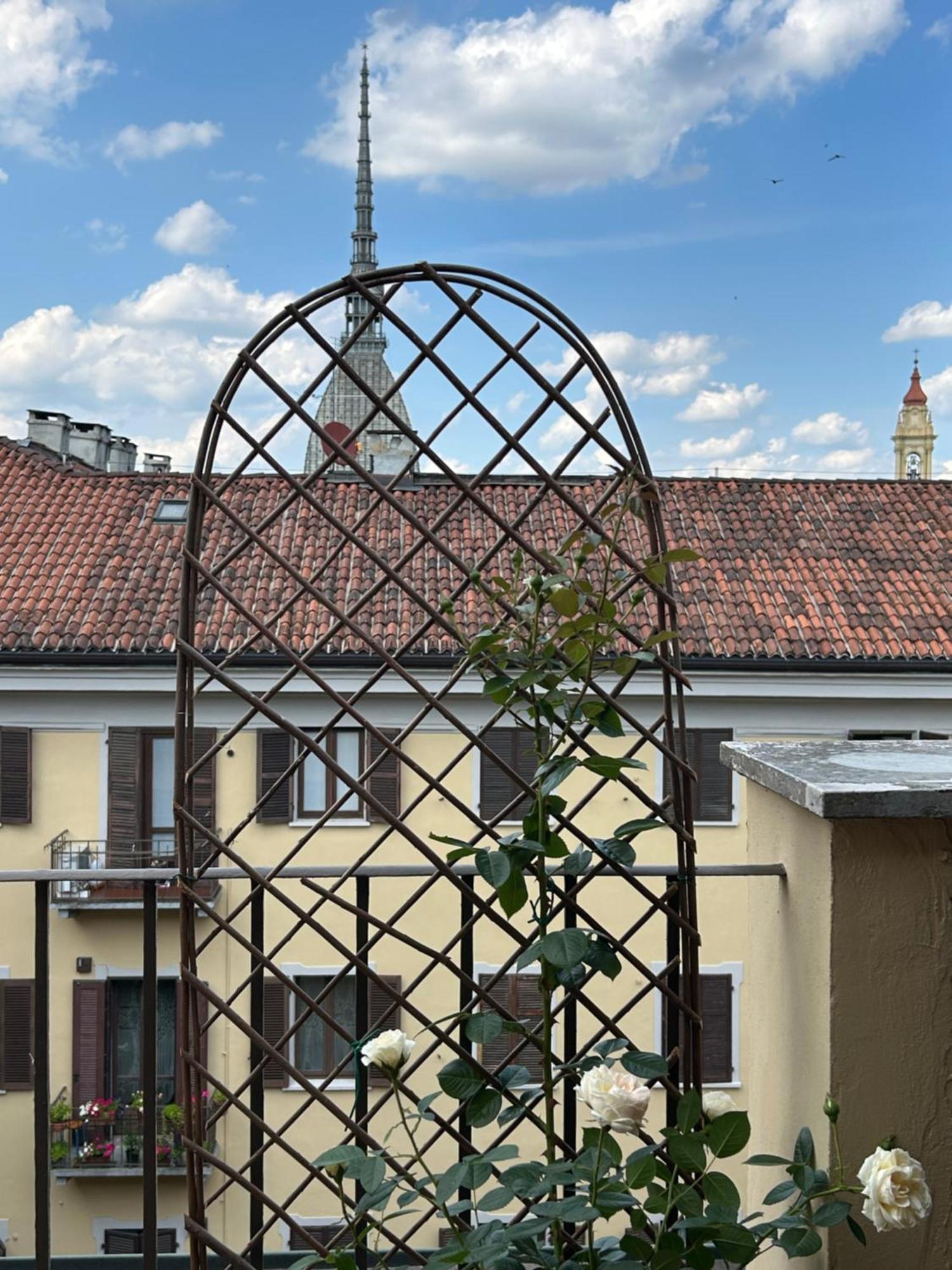 Terrazza Vista Mole - Mole View Terrace Apartment *