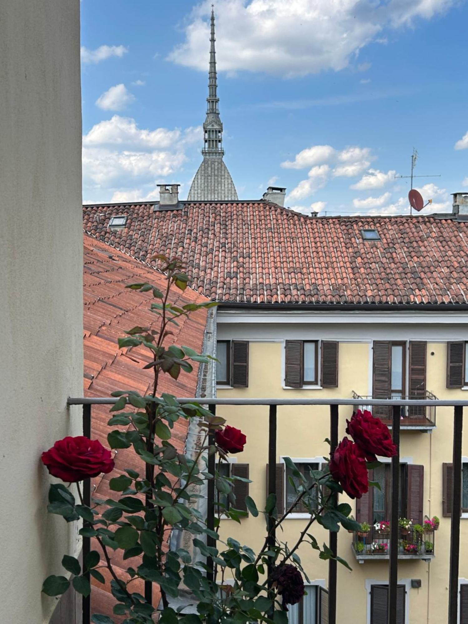 Terrazza Vista Mole - Mole View Terrace Apartment Turin